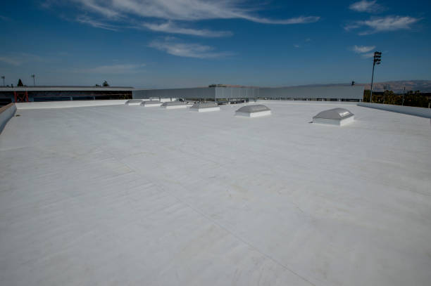 Best Roof Maintenance and Cleaning  in Parker, CO